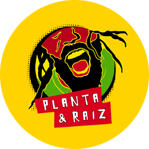 Planta e Raíz